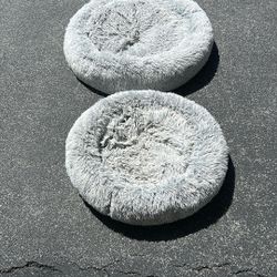 Dog Beds (two)