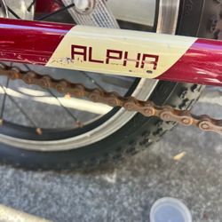 Alpha kids bike