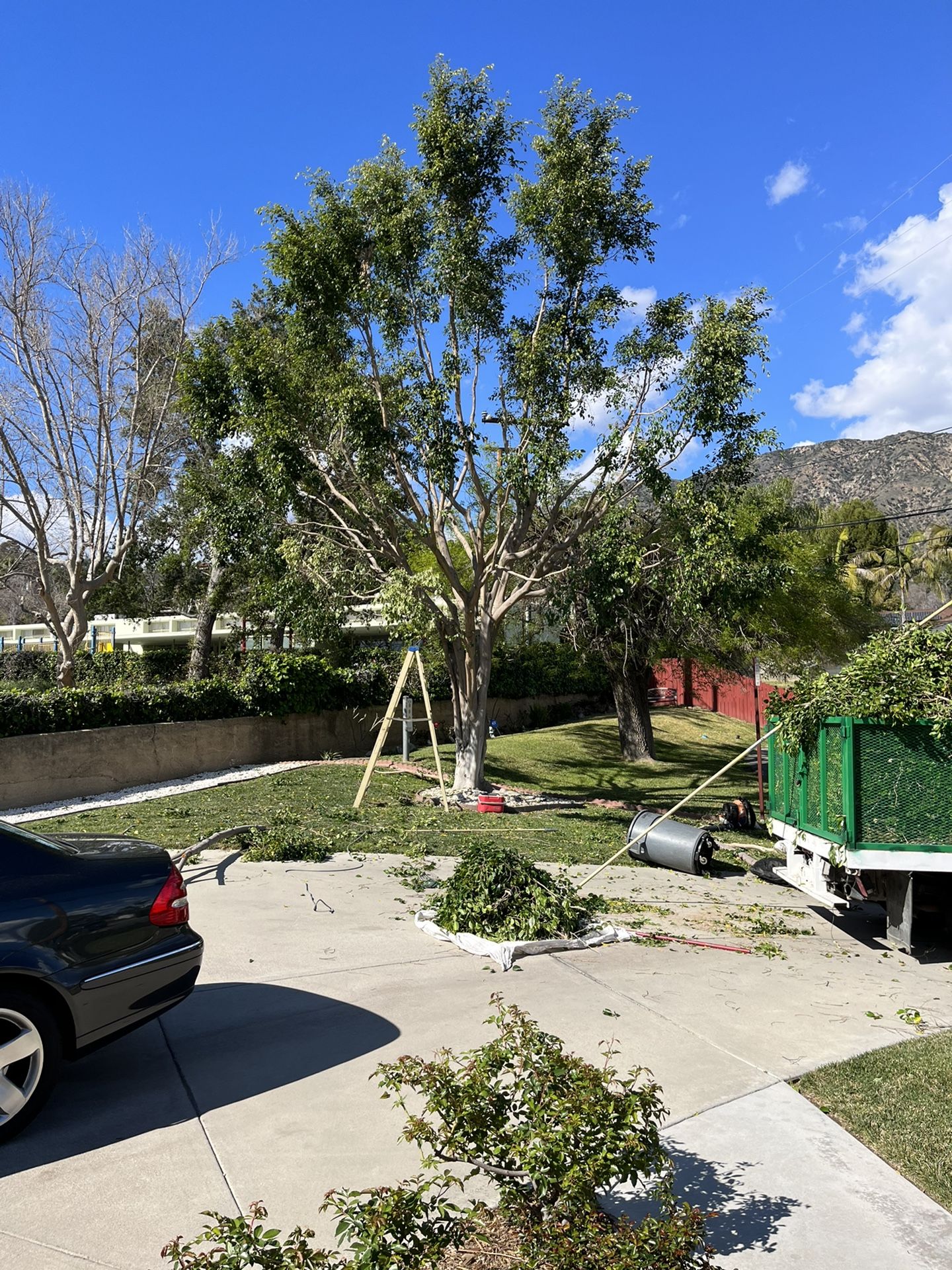 Busco Trabajador De Gardenia 