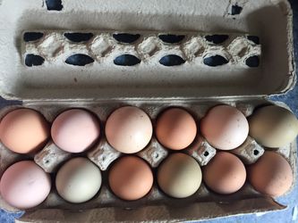 Fresh Organic Eggs