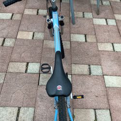 Blue Schwinn 24in Bike