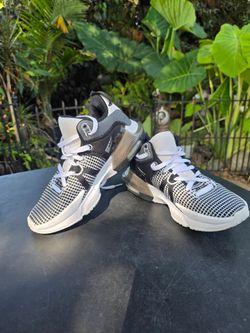 Nike LeBron Basketball Sneakers Black White