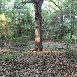 OWNER FINANCE just little over 10 acres 