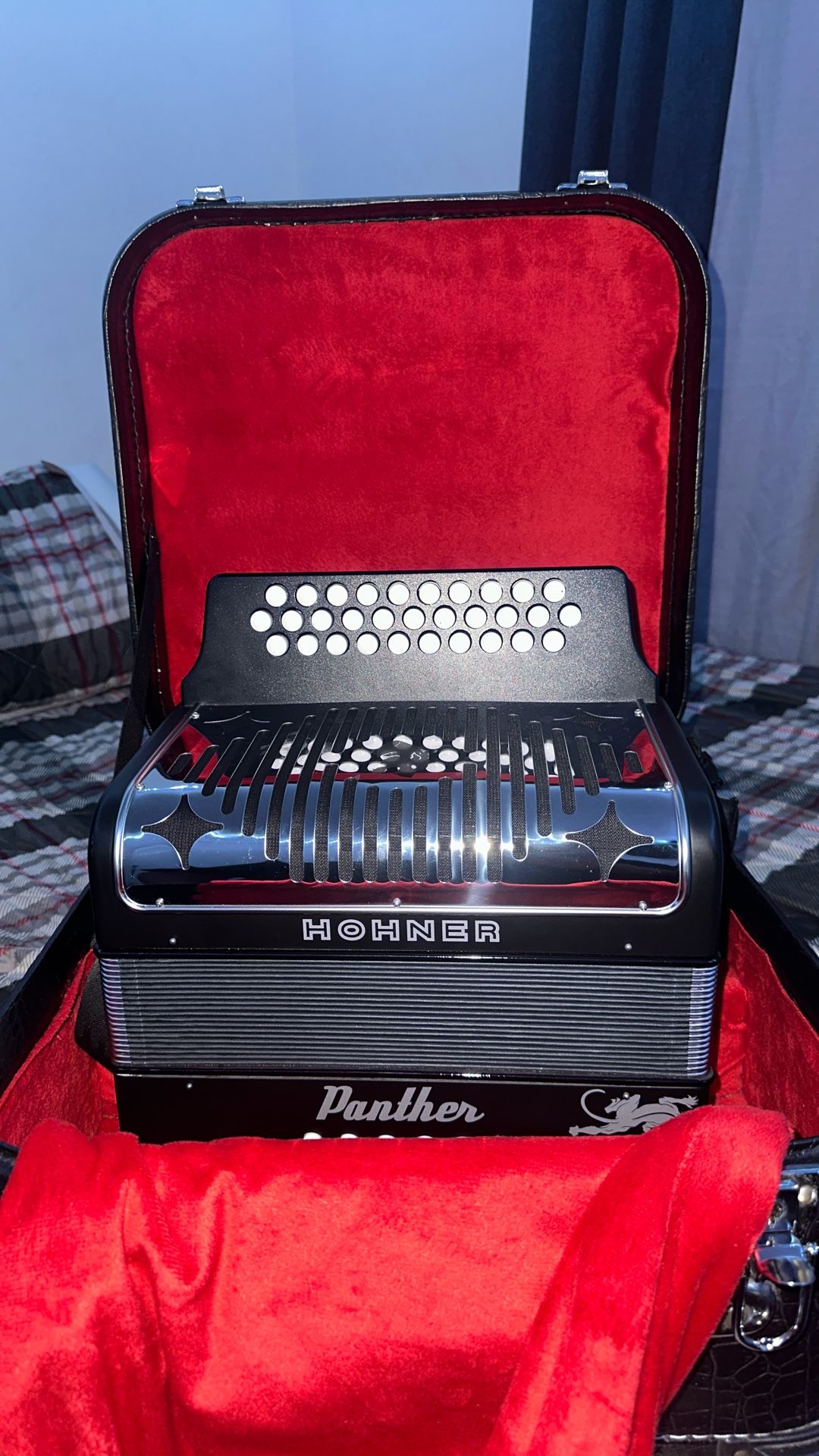 Accordion For Sale