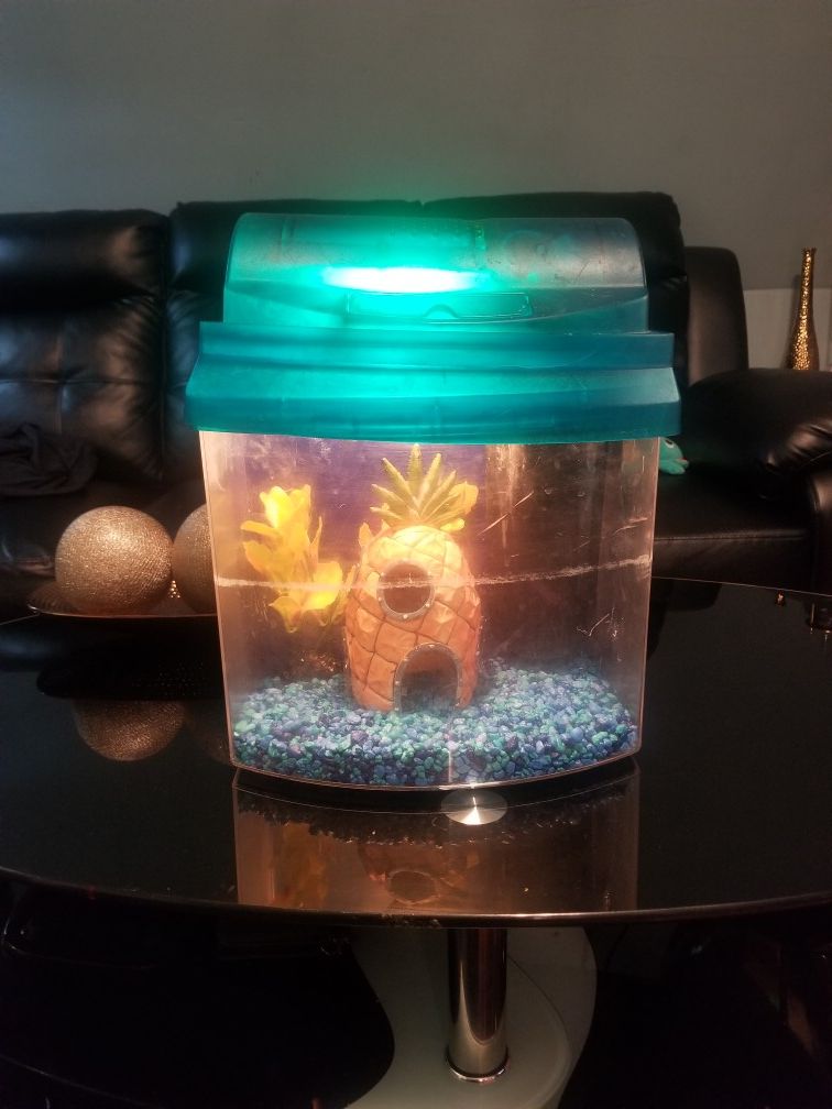 Fish tank