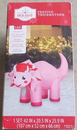 Christmas yard Inflatable