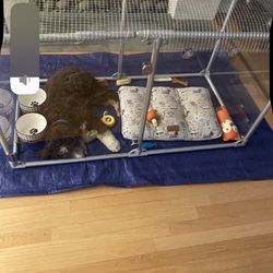 27” Original Clearly Loved Pet Pen (Dog Not Included)