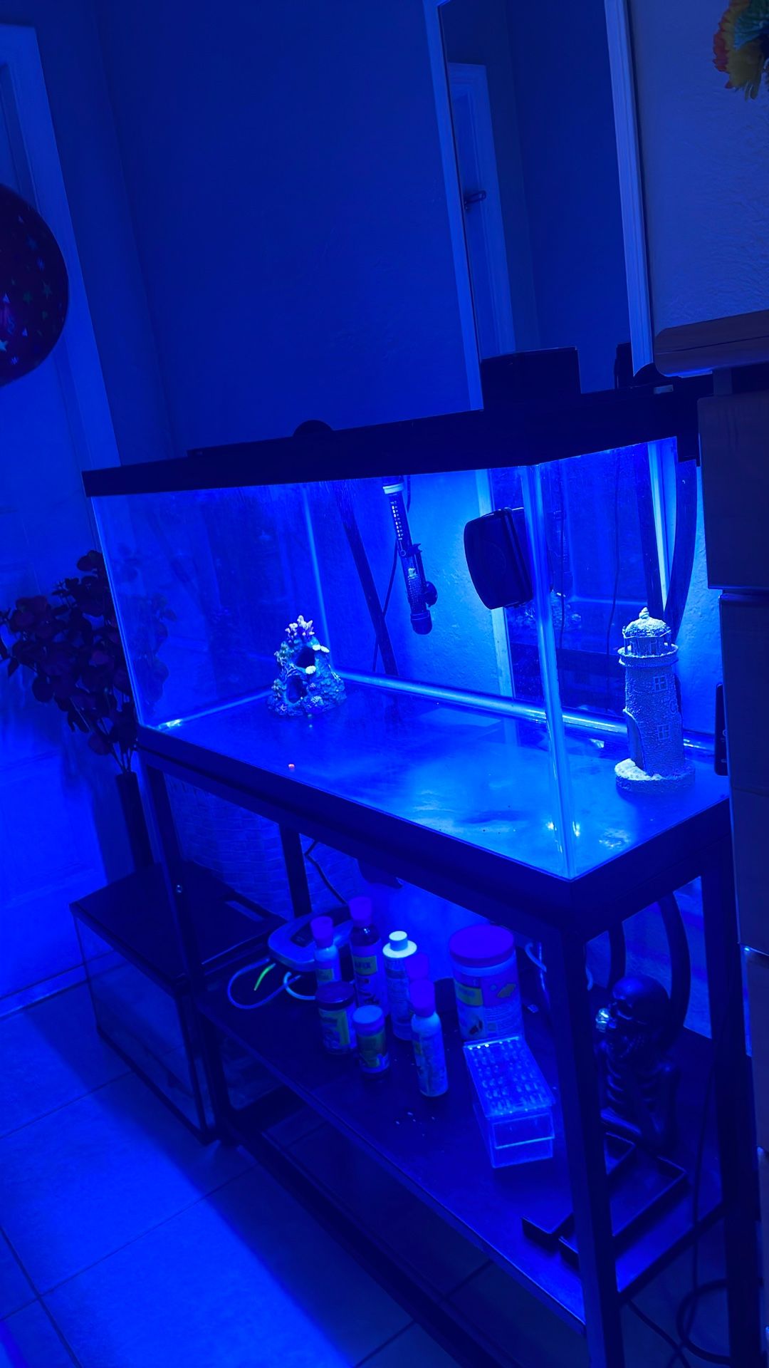 Acuario de 40 galones con todo