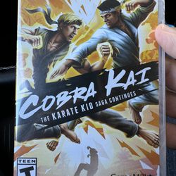 Cobra Kai Nintendo Switch