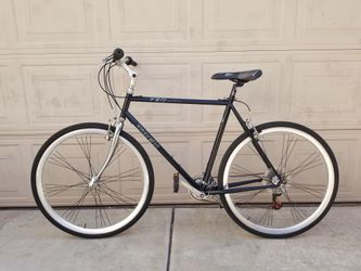 Trek hydrid bike ($140)