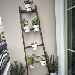 Ladder Plant Stand With Pots