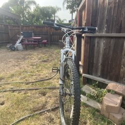 Trek mountain bike