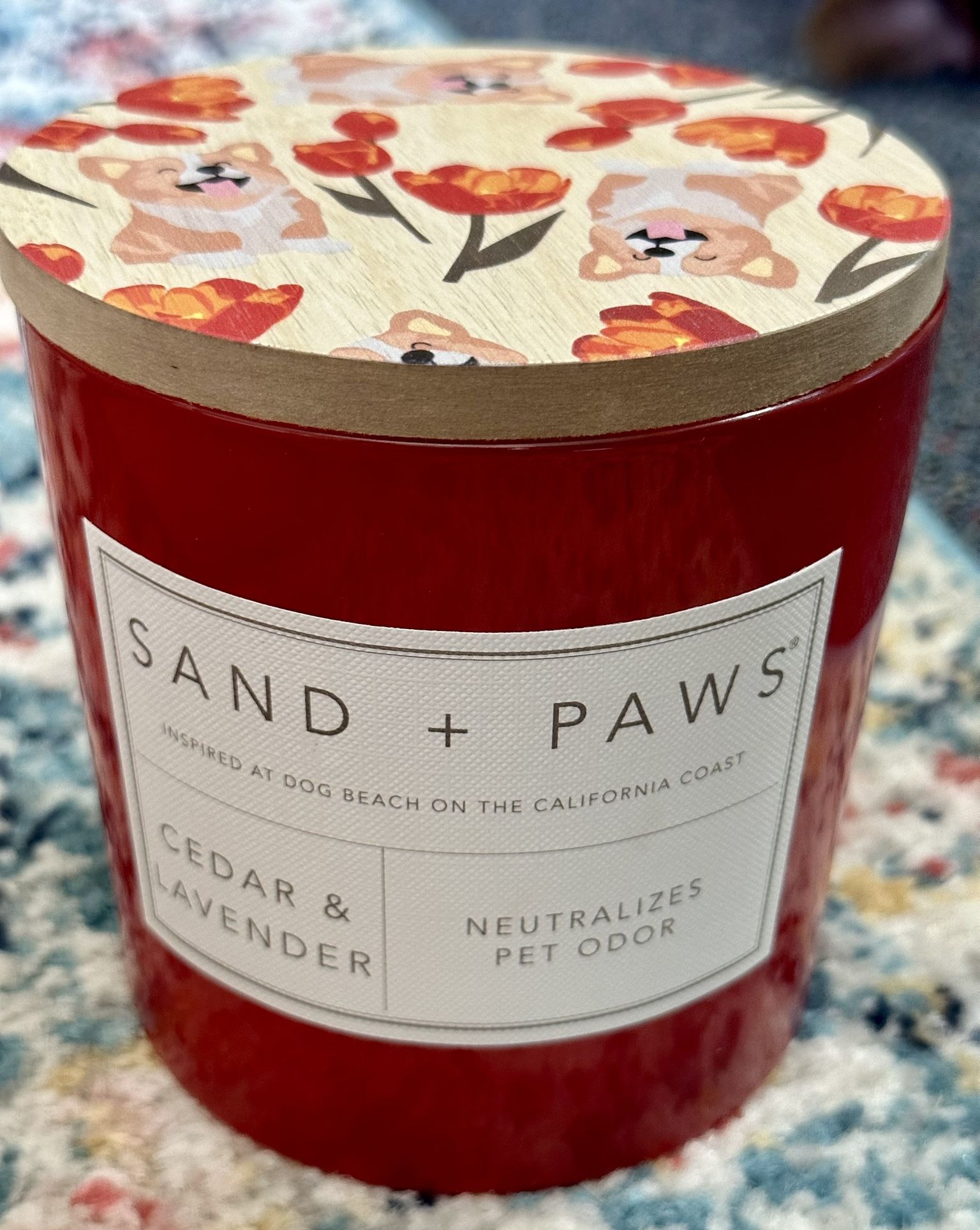 Large Sand And Paws Candle 🐶🐾