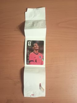 Panini FIFA World Cup Stickers Coca Cola 8