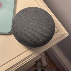 google home
