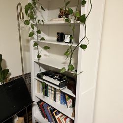 Hemnes Wood Bookshelf 