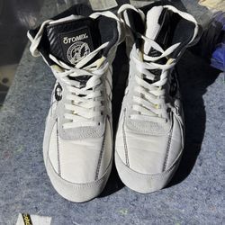 Ironic Weightlifting/Wrestling Shoes