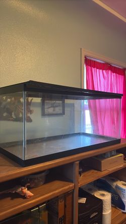 20 Gallon reptile / animal habitat