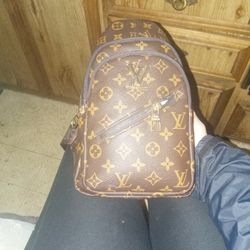 Authentic Louis Vuitton Mini Backpack