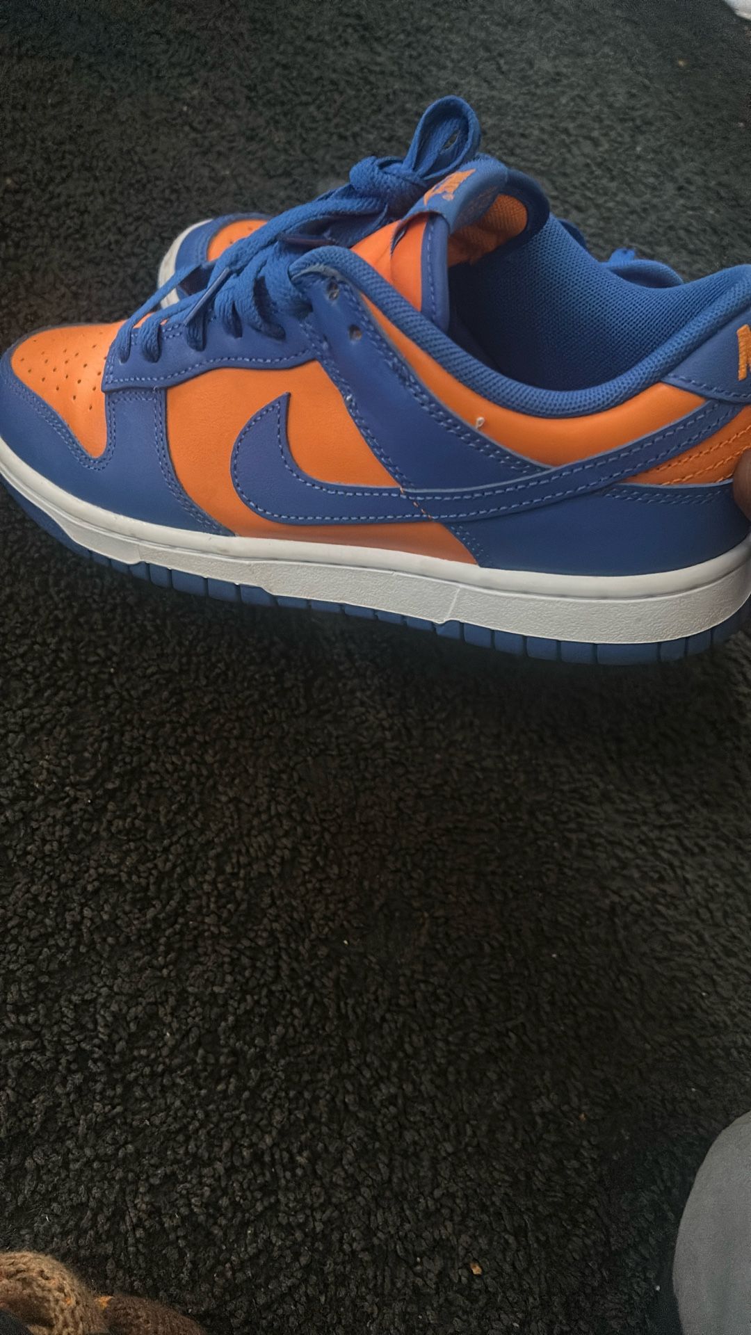 Nike Dunk