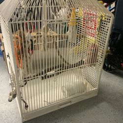 Large Bird Cage 