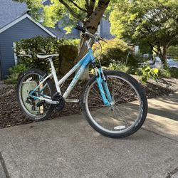 Trek Mountain Bike