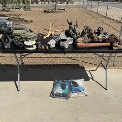 Aquarium And Accessories 