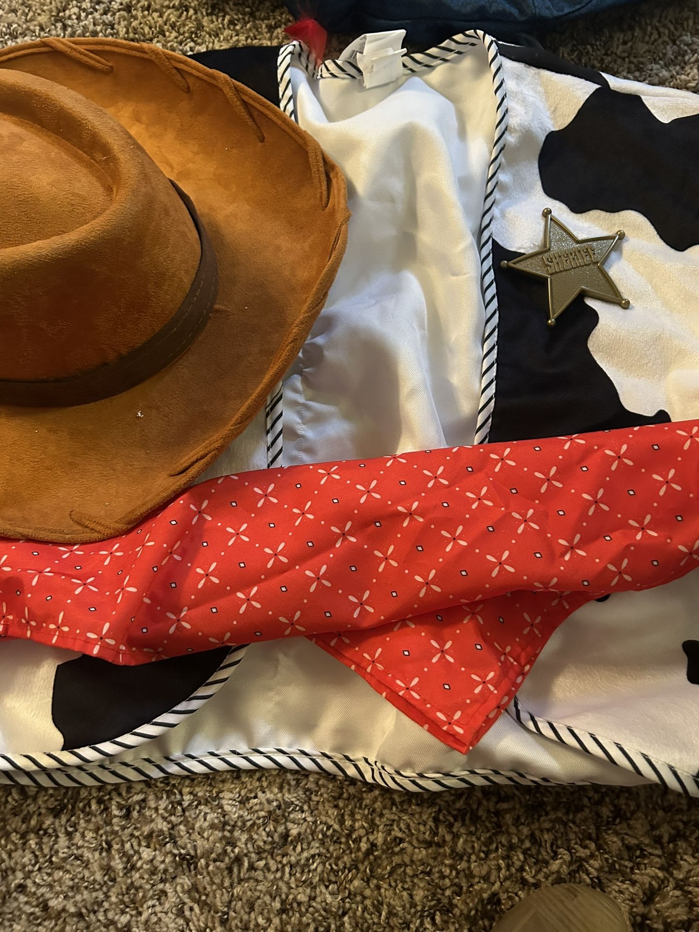 Halloween Costume - Woody