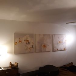 Orchid Triptic Canvas Art Wall Hanging Photographic Printd