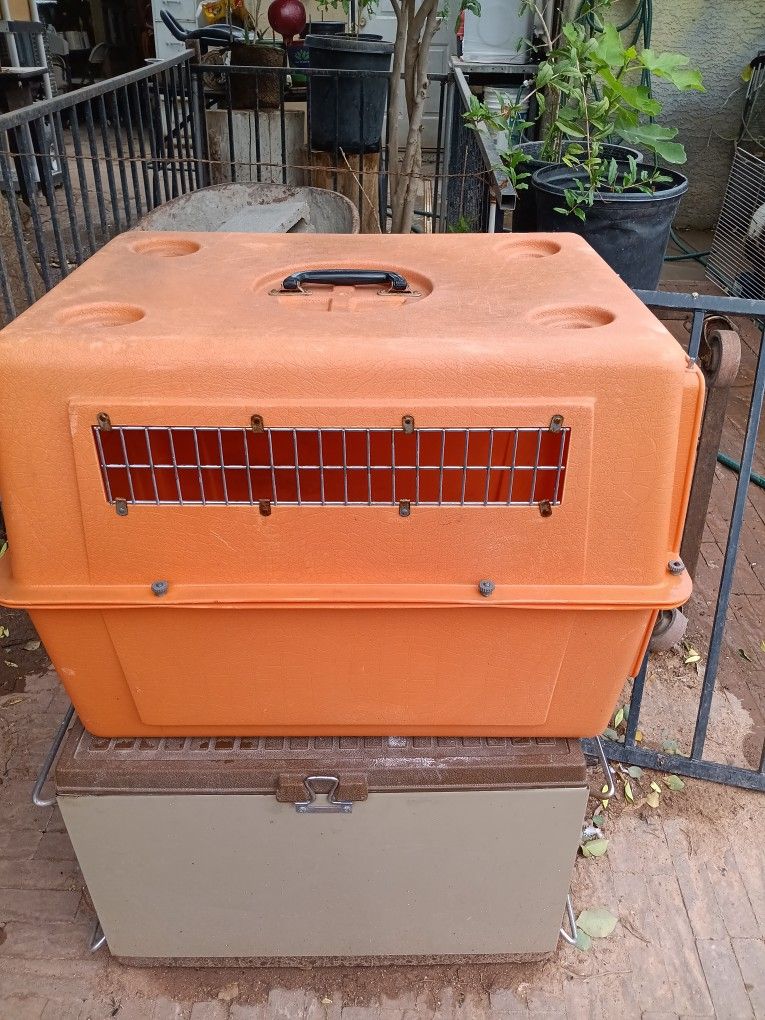 Dog Cage In Dog Kennel In Very Good Condition