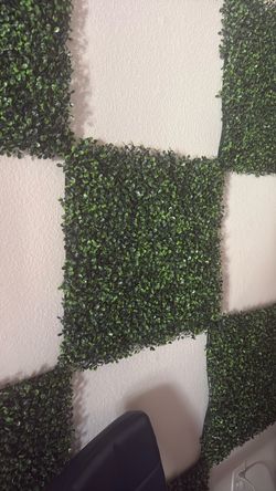 Boxwood Hedge Panel