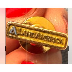 14 K LAND AMERICA PIN ,Says CTO 14K
