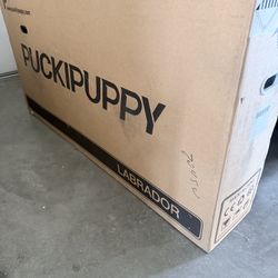 Puckypoppy Labrador Pro Greg