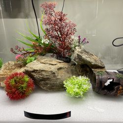 FISH TANK with Complete Accessories and Decors, NEW 29 Gallon