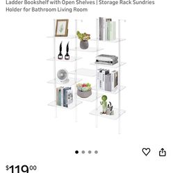 Clear Ladder Bookshelf
