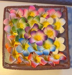 Flower alligator hair clip