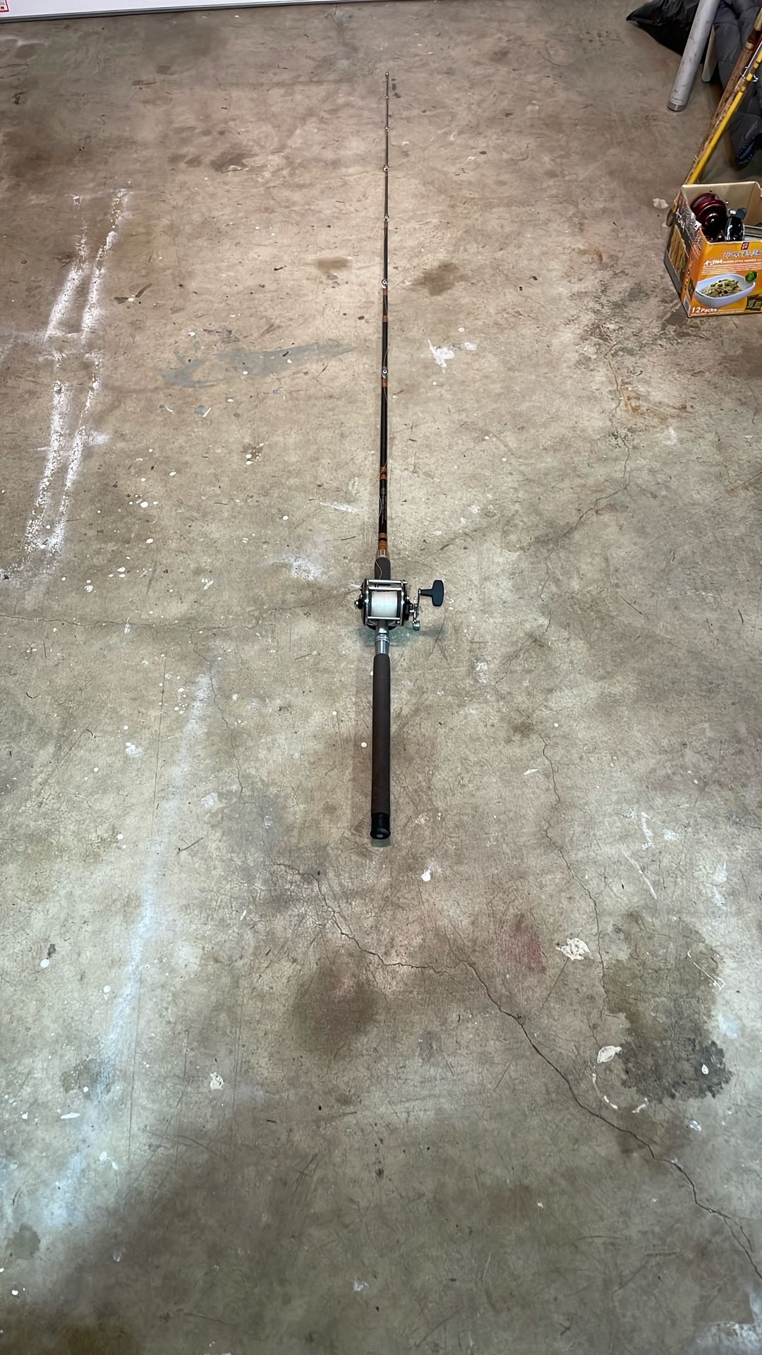 Salmon Rod And Reel