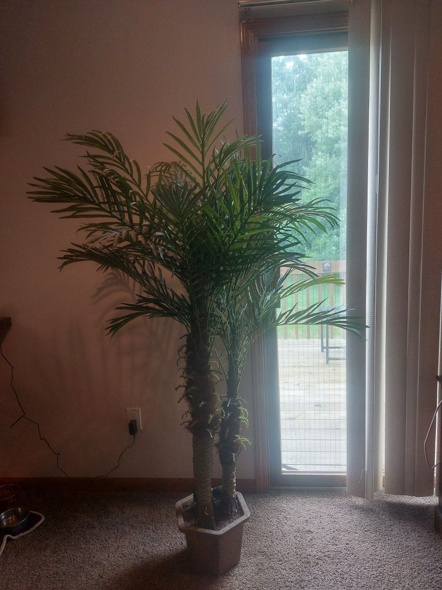 Fake House Plant