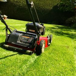Mowing 
