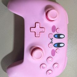 Nintendo Switch Controller