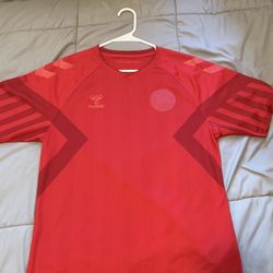 Denmark Home World Cup Jersey 2022