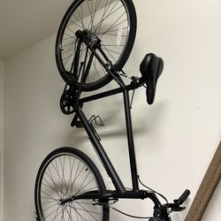 Priority bicycle-Gotham edition