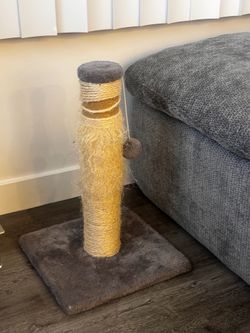 Kitten scratcher