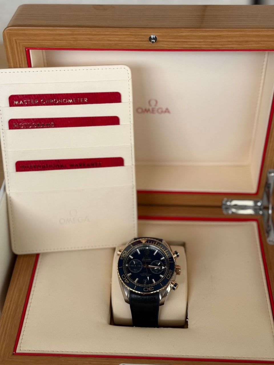 Omega Seamaster Planet Ocean 600M Men 2010 2020