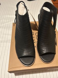 Frye and co