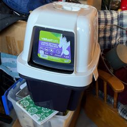 Large Sifting House Cat Little Box 