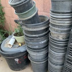 So many different plant buckets