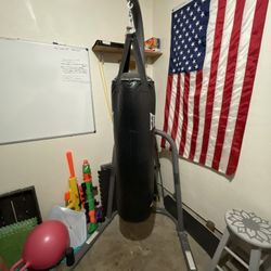 Everlast 100lb Punching Bag with Stand