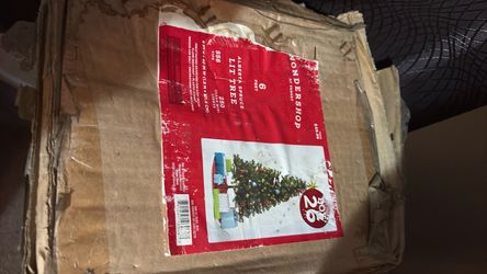 Wondershop Alberta Spruce 6ft Christmas Tree, extra 100 white lights string