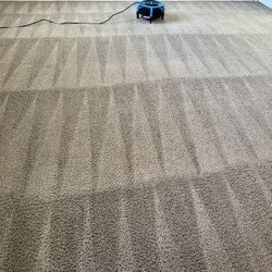 Carpet Care